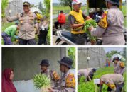 Polsek Balongbendo Bersama Warga Panen Kangkung dari Lahan Desa Bakungtemenggungan