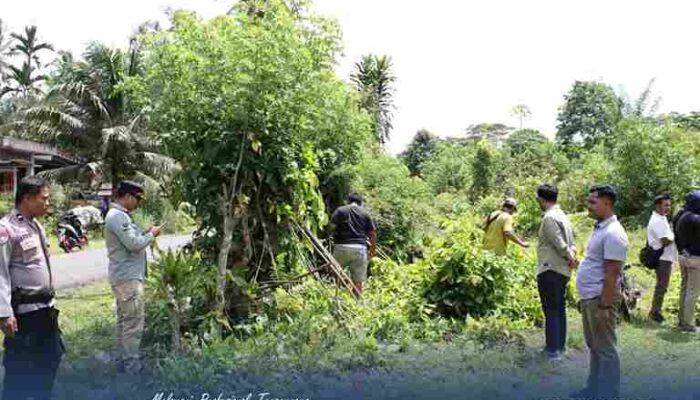 Kantah Kabupaten Agam Gelar Peninjauan Lapangan untuk PTP PKKPR Berusaha di Atas 100 Hektar