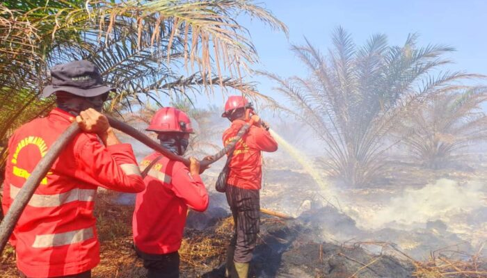 92 Kampung di Kabupaten Siak Terima Anggaran Cegah Karhutla