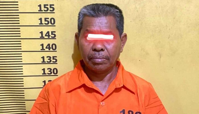 Warga Bengkalis Ditangkap karena Jual Hutan Lindung, Kerugian Negara Capai Rp 1,2 Miliar