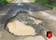 Jalan Depan Rumah Anggota DPRD Metro “Kubangan Kerbau”, Warga Geram Menjelang Lebaran!