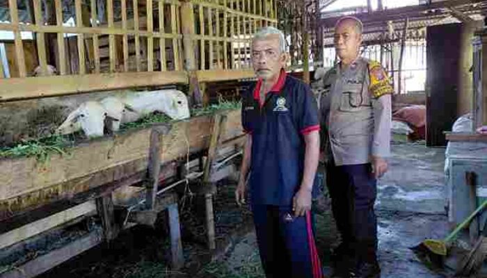 Bhabinkamtibmas Desa Kemantren Cek Lahan P2B untuk Swasembada Pangan Mandiri