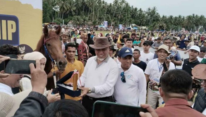 Pacu Kudo Kembali Menggema di Padang Pariaman Setelah Delapan Tahun Vakum