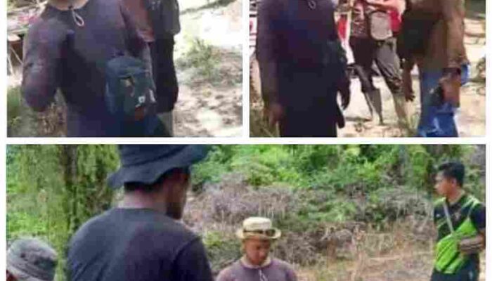 Sengketa Lahan Sawit di Nunukan Memanas: Petani Dihadang Saat Panen