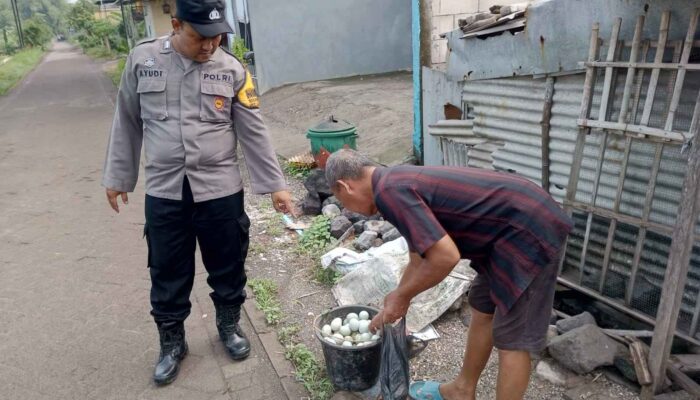 Dekat dengan Warga, Bhabinkamtibmas Kragan Sambangi Peternakan Bebek Petelur Dukung Ketahanan Pangan Polresta Sidoarjo