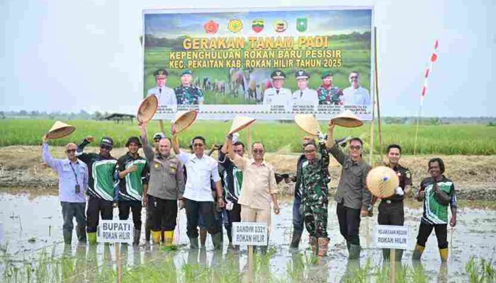 Tinjau Pabrik Kilang Padi di Rokan Baru, Wabup Rohil Dorong Revitalisasi dan Penguatan Sektor Pertanian