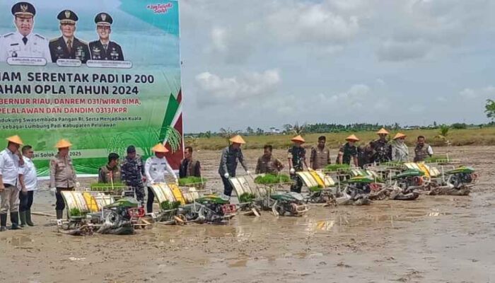 Sinergi Lintas Sektor Pacu IP 200 di Pelalawan, Bupati Zukri Targetkan Kesejahteraan Petani Meningkat