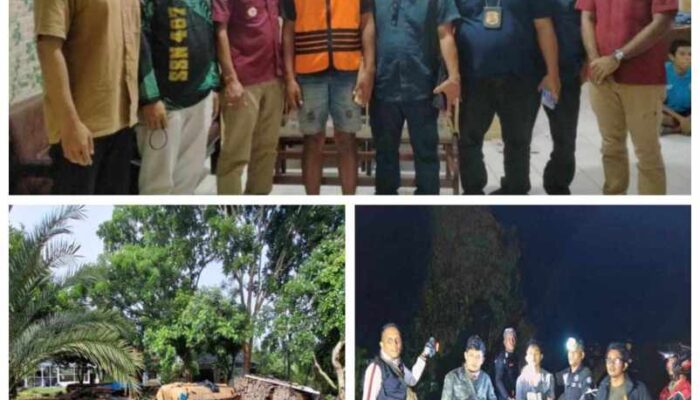 Gakkum KLHK Bekuk Penjarah Hutan di TNBT, 6 Motor Pengangkut Kayu Disita