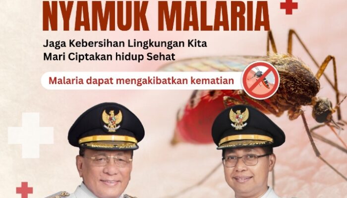 Waspada Gigitan Nyamuk Malaria