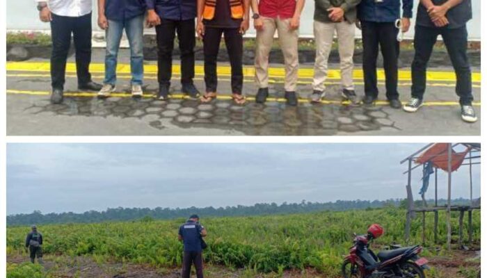 Penyidik Gakkum Kehutanan Sidik Pemilik Kebun Sawit Ilegal di Dalam Kawasan Taman Nasional Berbak Sembilang