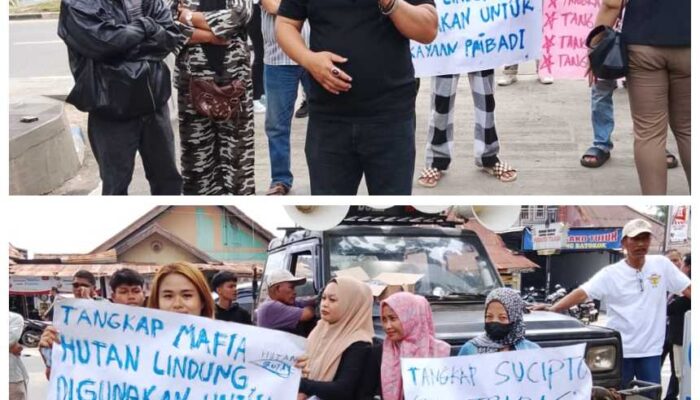 Hukum Jangan Tumpul ke Atas! ORMAS HAM Indonesia Gelar Aksi Besar, Serukan Tangkap Pelaku Perusakan Hutan Lindung Jambi