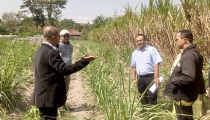 Jaminan Dilelang Sepihak, BPR Bhapertim Persada Cabang Kepung Digugat 