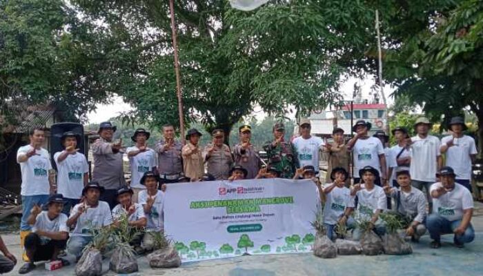 Satu Pohon, Sejuta Harapan, PT IKPP dan Warga Tualang ‘Pagar’ Pinggiran Sungai Siak dengan Mangrove