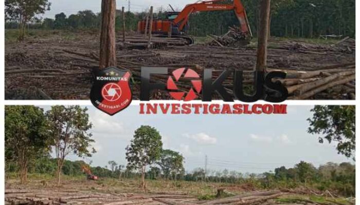 Dugaan Penampungan Kayu Ilegal Skala Besar di Kawasan PT Conch Siak, Komitmen ‘Green Policing’ Dipertanyakan