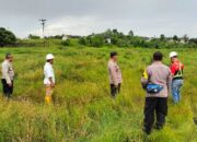 Wujudkan Swasembada! Polsek Tualang Gandeng PT. AIP “Sulap” Lahan Jadi Lumbung Jagung