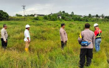Wujudkan Swasembada! Polsek Tualang Gandeng PT. AIP “Sulap” Lahan Jadi Lumbung Jagung