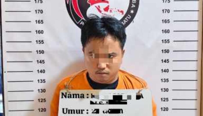 Satres Narkoba Polres Labuhanbatu Amankan Pengedar Sabu 7,78 Gram di Labura