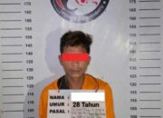 Bawa Sabu di Kebun Rambung, Warga Padang Lawas Diringkus Satres Narkoba Polres Labuhanbatu