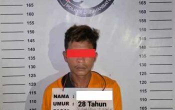 Bawa Sabu di Kebun Rambung, Warga Padang Lawas Diringkus Satres Narkoba Polres Labuhanbatu
