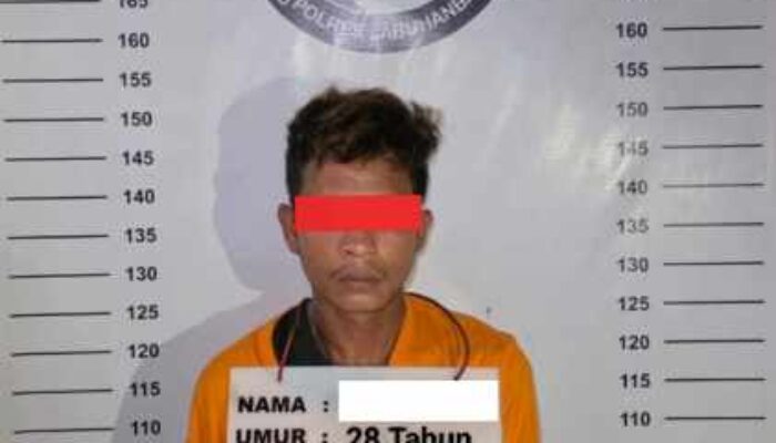 Bawa Sabu di Kebun Rambung, Warga Padang Lawas Diringkus Satres Narkoba Polres Labuhanbatu