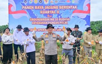 Polda Jambi Gelar Panen Raya Jagung Serentak Kuartal II 2026, Dukung Program Ketahanan Pangan Nasional