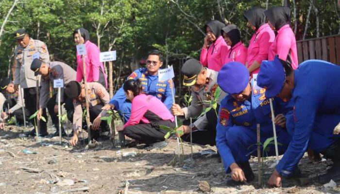 Sambut HUT Bhayangkara ke-80, Ditpolairud Polda Jambi dan Polres Tanjab Barat Tanam 2.000 Mangrove