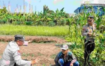Polisi Cinta Petani Polsek Sedati Dukung Swasembada Pangan Nasional
