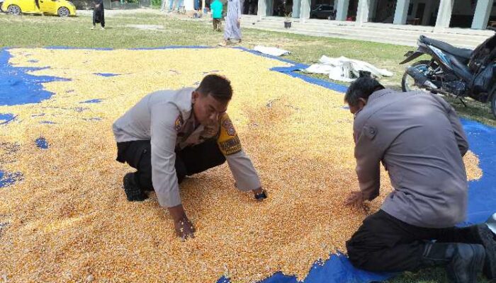 Bukan Cuma Jaga Keamanan, Polsek Tualang Turun ke Ladang Sukseskan Ketahanan Pangan