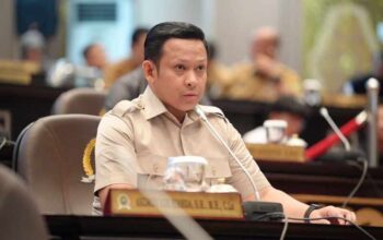 Androy Minta DKLH dan Dinas Perkebunan Riau Sisir Perusahaan yang Tanam Sawit di Sempadan Sungai