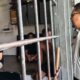 Ikuti Instruksi Kakanwil, Lapas Labuhan Bilik Padukan Patroli dengan Pendekatan Humanis