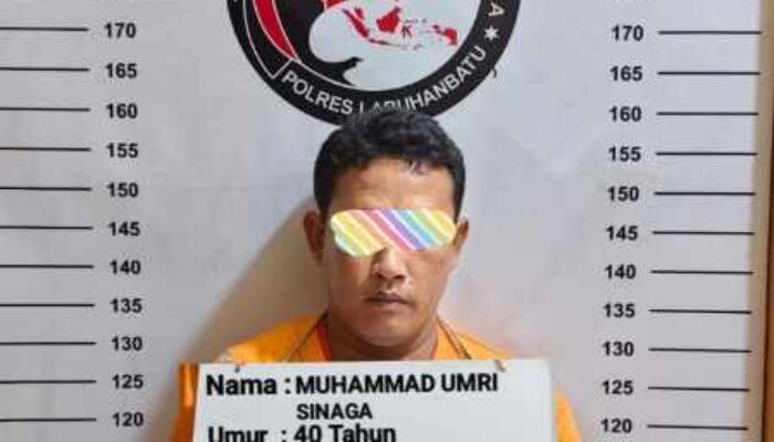 Satres Narkoba Polres Labuhanbatu Bekuk Pengedar Sabu di Marbau, 38 Paket Disita
