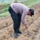 Polisi dan Petani Tualang Garap 1 Hektare Lahan Jagung di Ponpes Abu Huroiroh