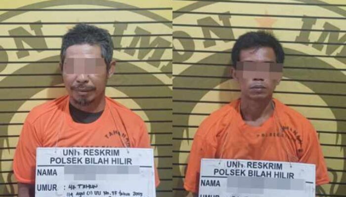 Polsek Bilah Hilir Ungkap Peredaran Ganja, Dua Pria Diamankan