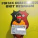 Residivis Narkoba Kembali Berulah, Tim Opsnal Polsek Kualuh Hulu Sikat Habis Pelaku di Damuli Pekan