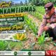 Polri Rangkul Pesantren Kawal Ketahanan Pangan, Jagung Pipil 1 Hektare di Perawang Tumbuh Subur