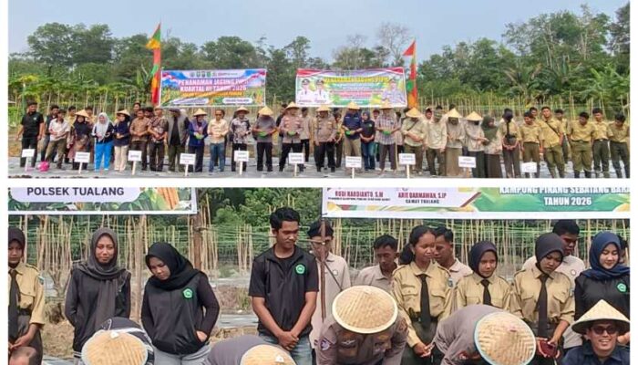Solusi Pangan dari Tualang, Polsek, Perusahaan, dan Petani Bersatu Hijaukan Lahan Siak