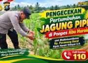 Kawal Ketahanan Pangan, Bhabinkamtibmas Polsek Tualang Cek Lahan Jagung 1 Hektare di Perawang