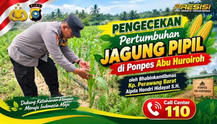 Kawal Ketahanan Pangan, Bhabinkamtibmas Polsek Tualang Cek Lahan Jagung 1 Hektare di Perawang