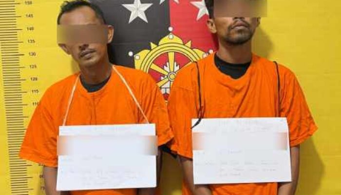 Pencurian Sawit di Labura: Dua Pelaku Diringkus Polsek Kualuh Leidong