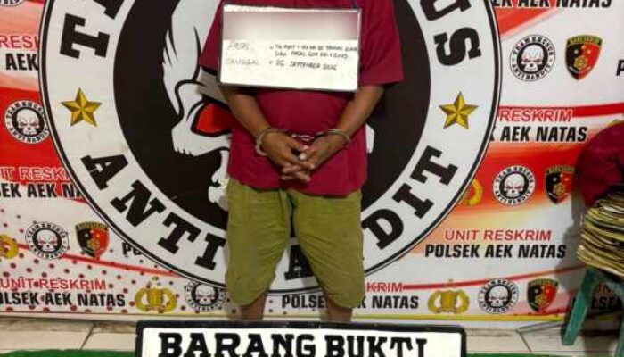 Polsek Aek Natas Amankan Pria Diduga Miliki Sabu di Desa Terang Bulan