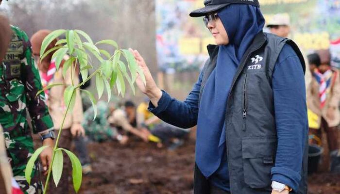 Bupati Afni Tanam Pohon di Lahan Bekas Karhutla upaya Penghijauan dan Menghindari Alih Fungsi Hutan
